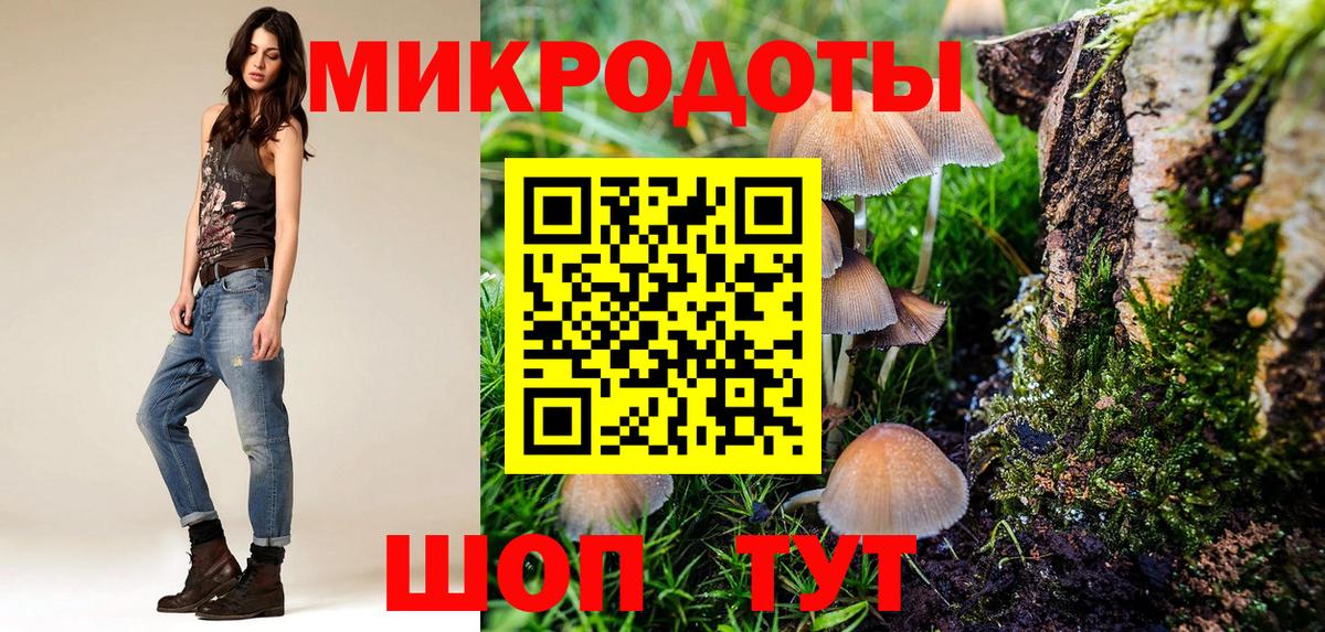 Псилоцибиновые грибы MAGIC MUSHROOMS  Галлюциногенные грибы Psilocybe  Татарск  Вход с VPN 
