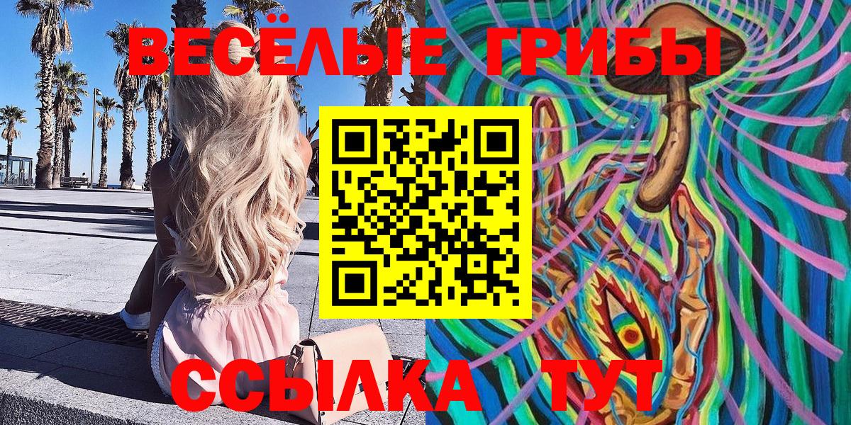 Псилоцибиновые грибы Psilocybe Татарск